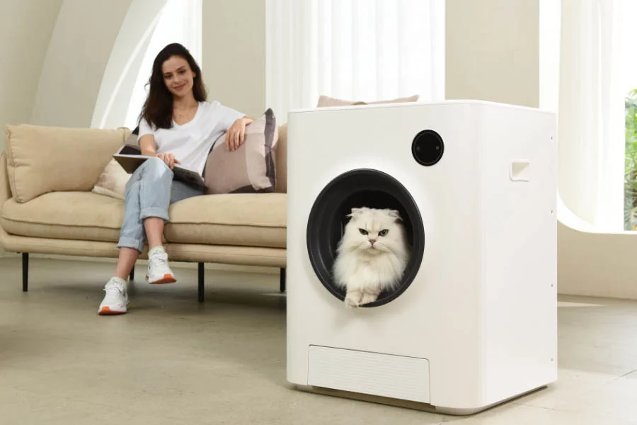 best auto kitty litter box