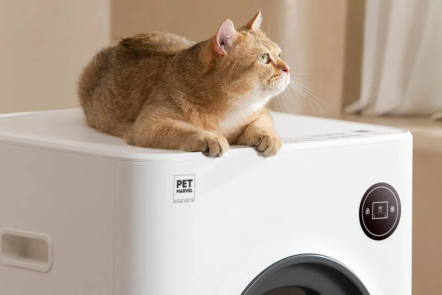 best auto kitty litter box