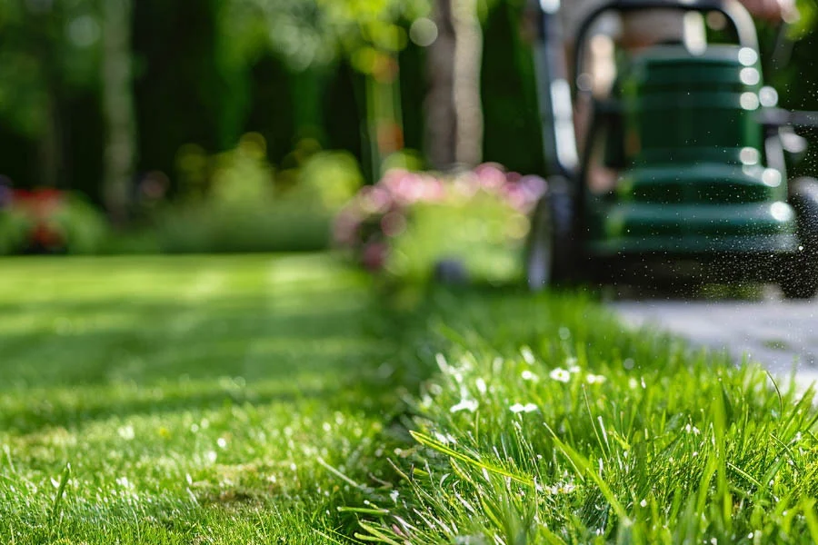 electric self propelled lawn mowers